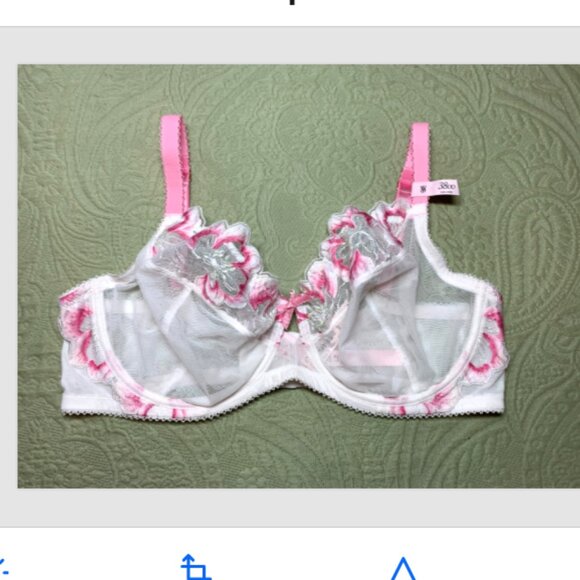 Dream Angels Fabulous by VS Unlined Pink Peony Embroidery Full-Cup Bra 38DD Set - Picture 8 of 15